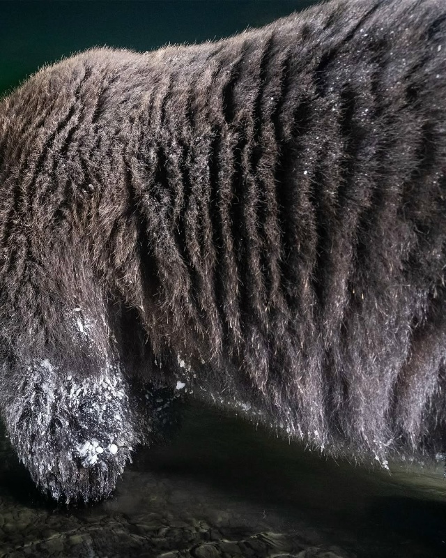 Как же это красиво...