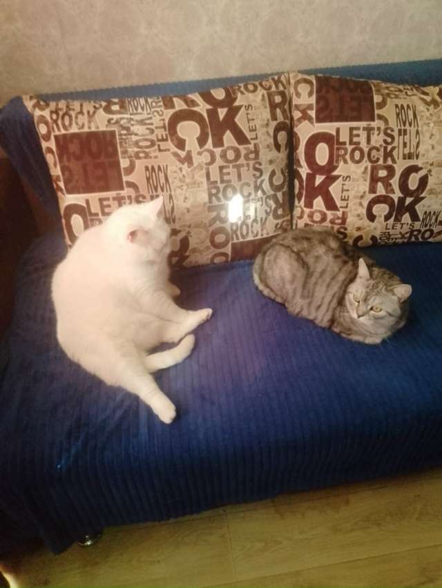 Наелись, напились, спать улеглись)