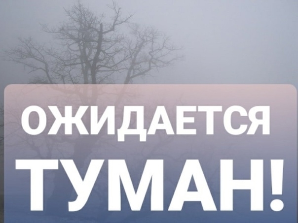 В ближайшие 2 часа с сохранением до 09 часов 1 декабря в М...