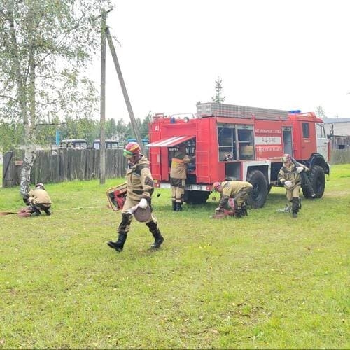 На Смоленщине закончился пожароопасный сезон
В ноябре...