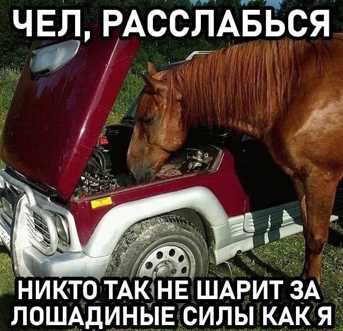 Утренняя подборочка