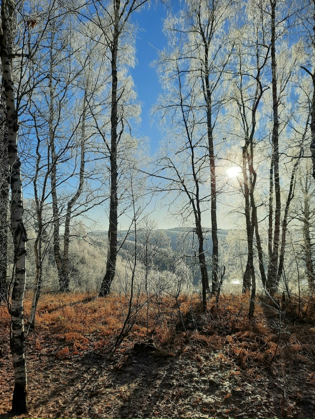 В ожидании зимы.