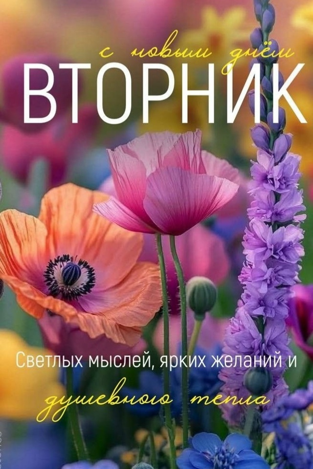 ☀️ ДОБРОЕ УТРО, НАРЬЯН-МАР!
За окном вторник — середи...