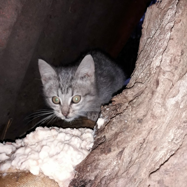 Они Вас ждут