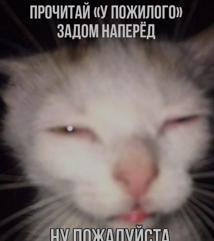 Ночная подборочка
Спать, режим