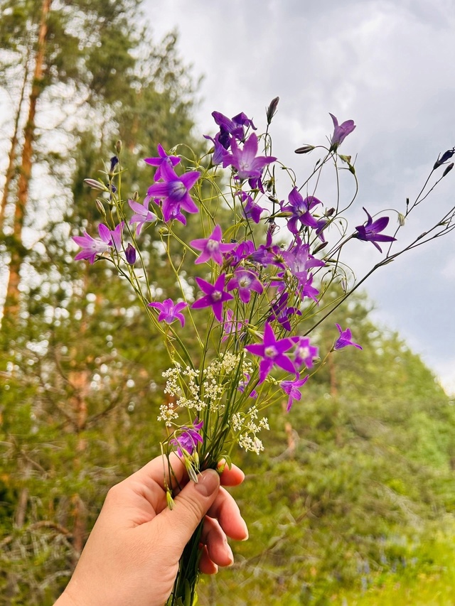 🌲☀Отдохните душой и телом на турбазе 