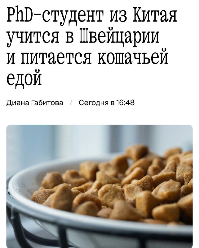 Китайский студент в Швейцарии ест кошачий корм, чтобы дотянуть до диплома.
Жизнь в Швейцарии насто