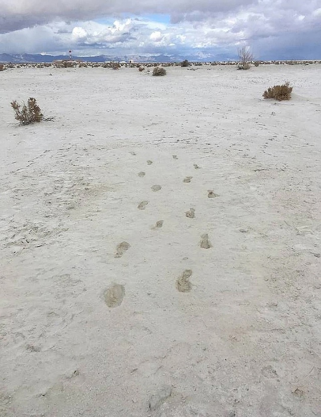 Есть основания полагать, что женщина несла на себе реб?...