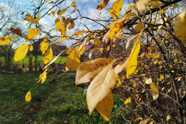 В выходные в Тамбове потеплеет
В Тамбове на этой недел...