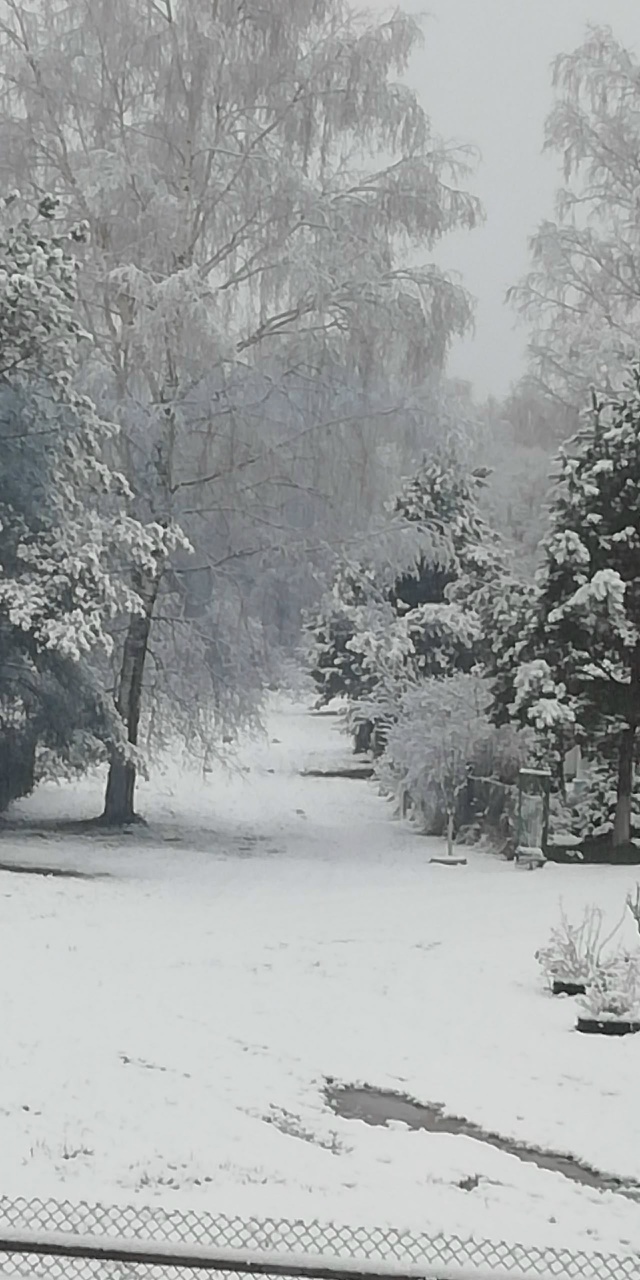 Вчерашняя красота❄️
от подписчиков