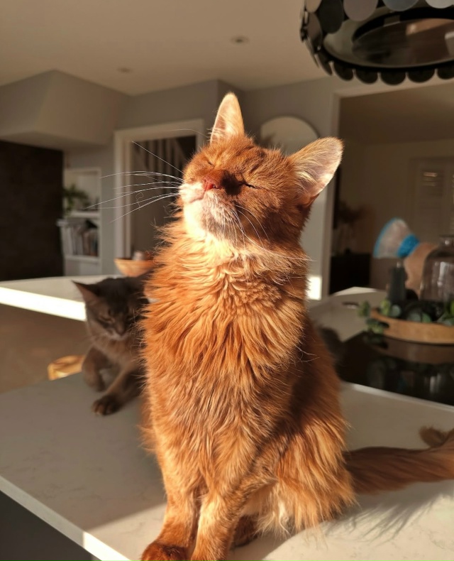 Вот они настоящие солнечные батареи зимой😍