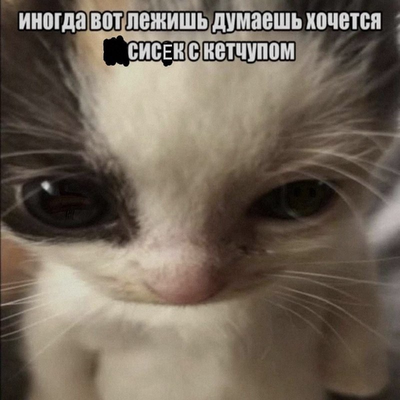 Ночная подборочка
Спать, режим