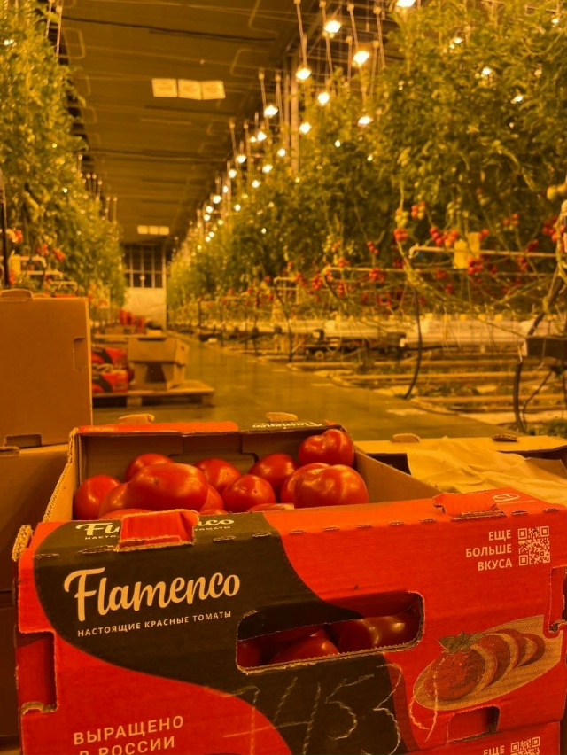 АГРОКОМПЛЕКС МАРТЫНОВСКИЙ ПРИГЛАШАЕТ НА РАБОТУ ОВОЩЕ?...