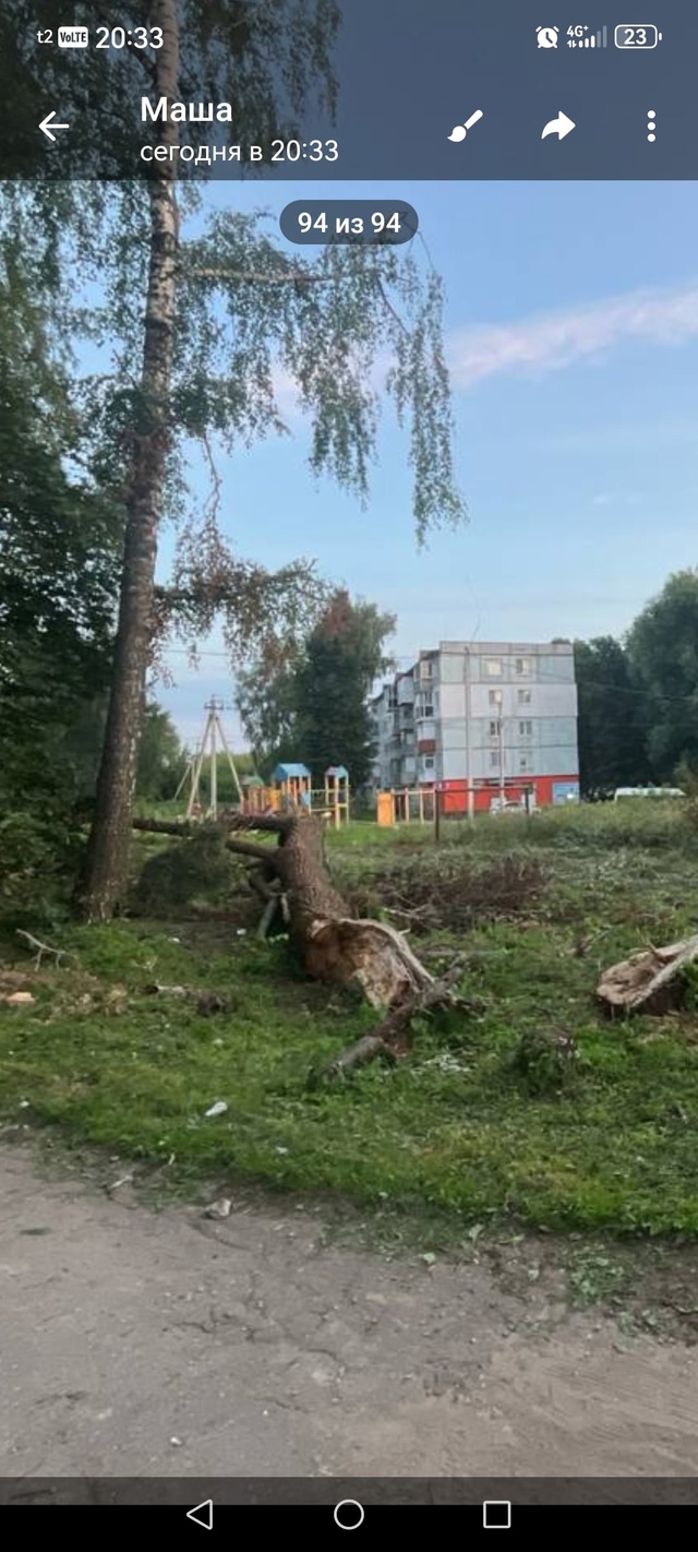 Пост обиды реально... Город Болохово , дерево упало на м?...
