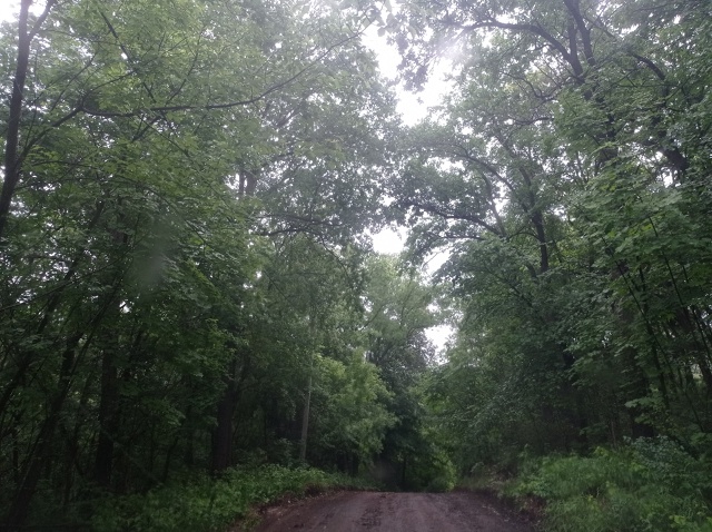 Вот такая грязь в посёлке ВТК.
5 лет подряд пишу обраще?...