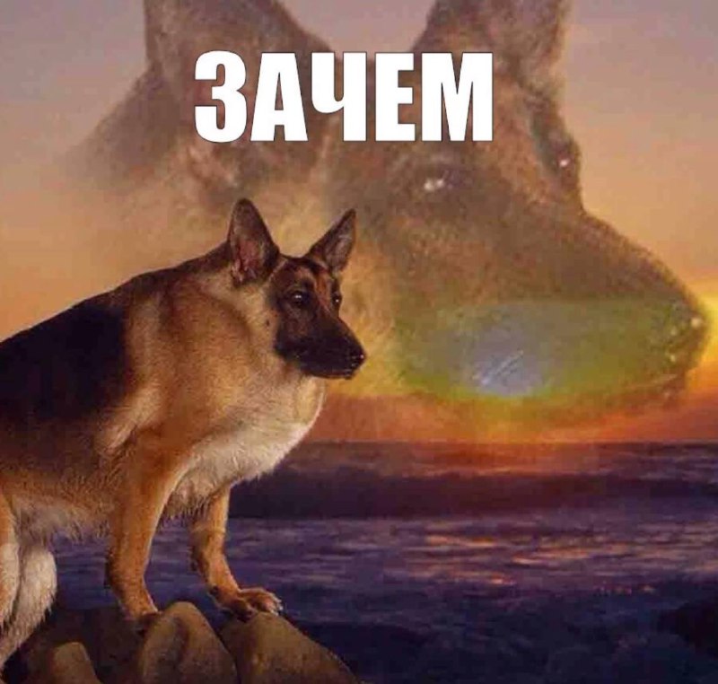 я каждый раз после того, как съел фастфуд: