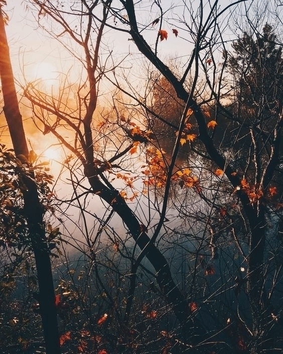 Удивительно, как становится легко, если позволить всем...