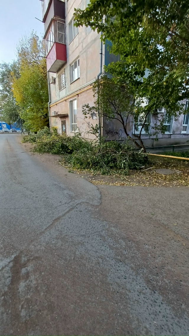 Доброе утро, возле зубной поликлиники в микрорайоне и ?...