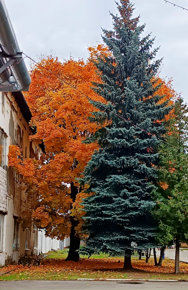 Доброе утро!
?Наталья Галкина
