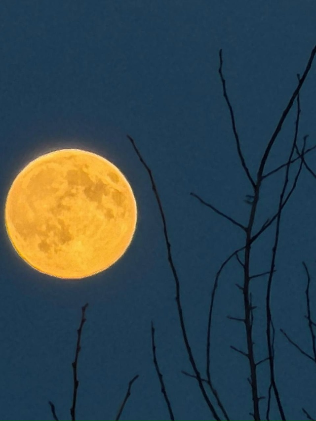 🌕 Бобровое суперлуние уже в небе над Москвой.
Подним...