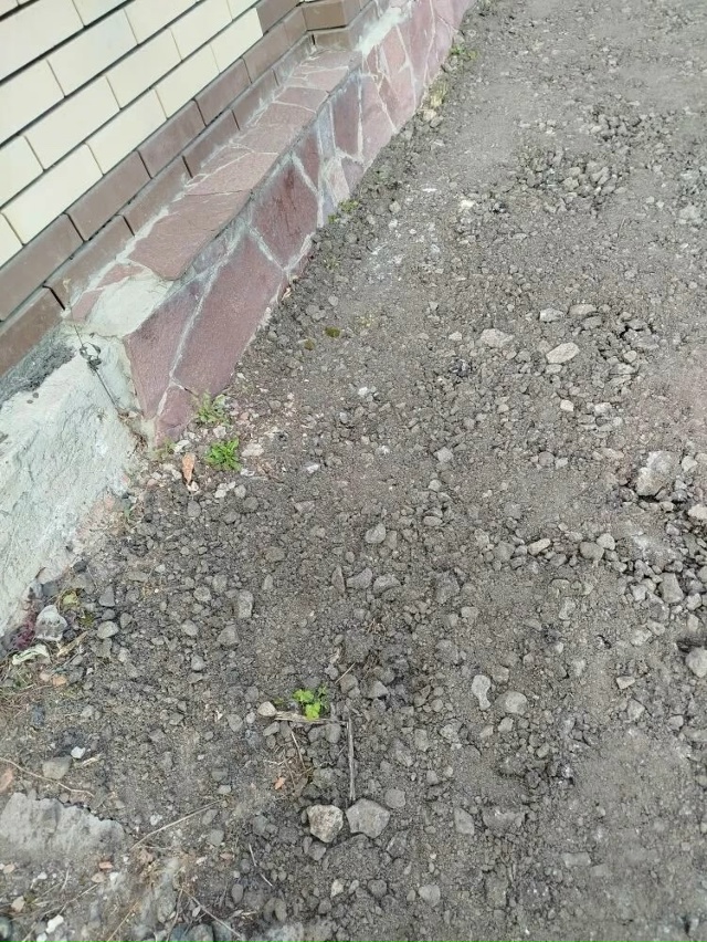 На ул. Ленина асфальт кладут на такую смесь - земля с не?...