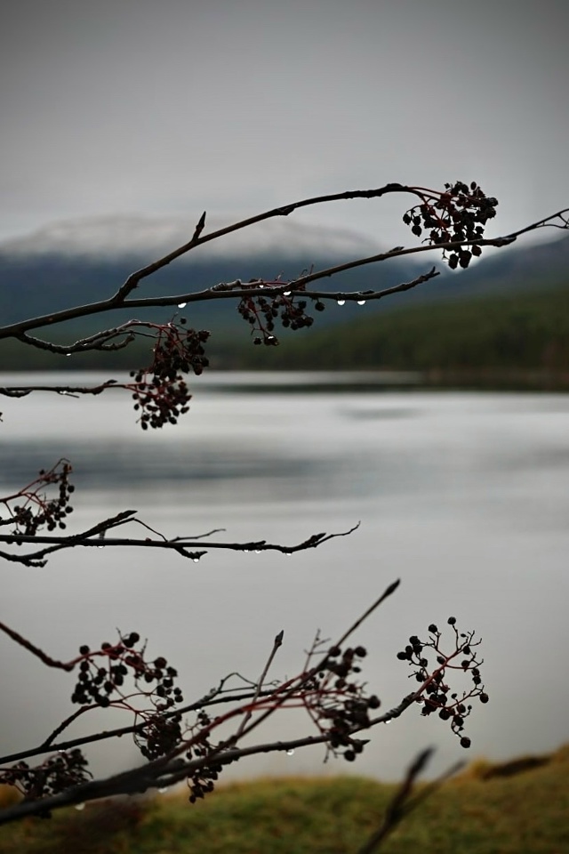 Красивое начало ноября.
Фото: [id1430345|Елена Серикова]