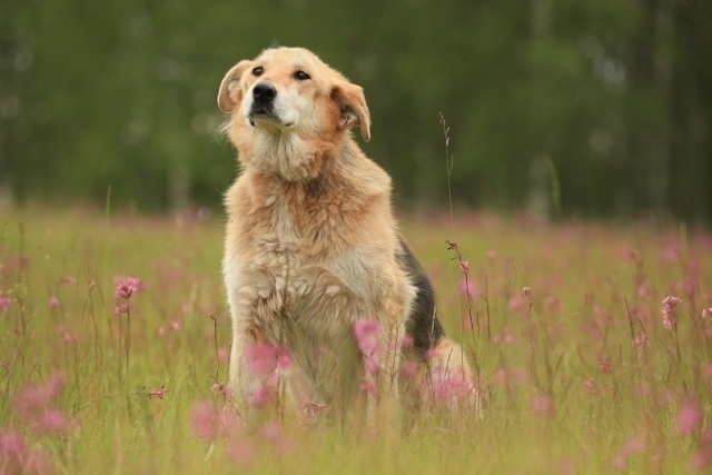 Санкт-Петербург и Ленинградская область
Моня: Десять л...