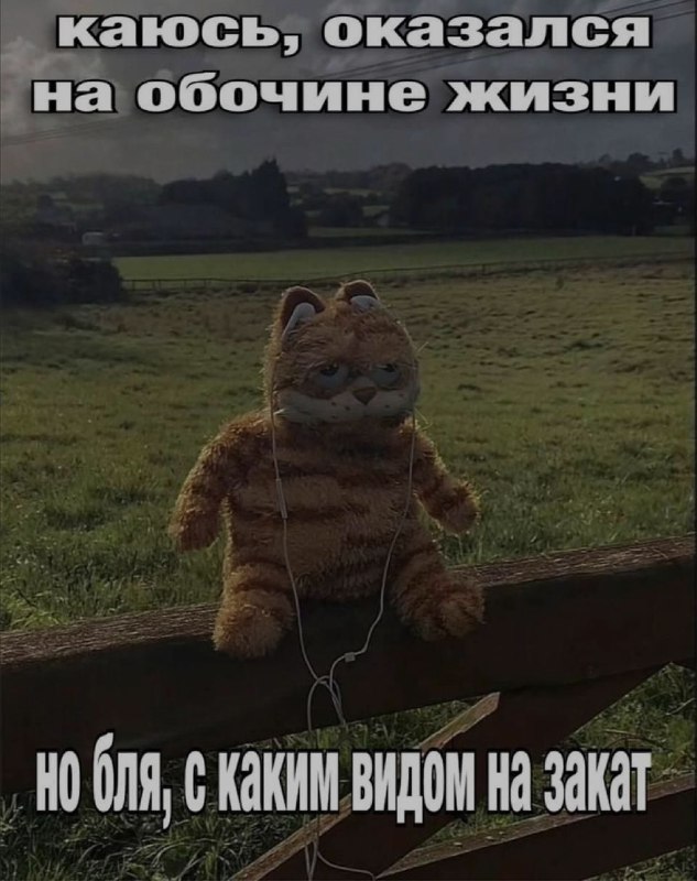 Ночная подборочка
Выходные, не спим