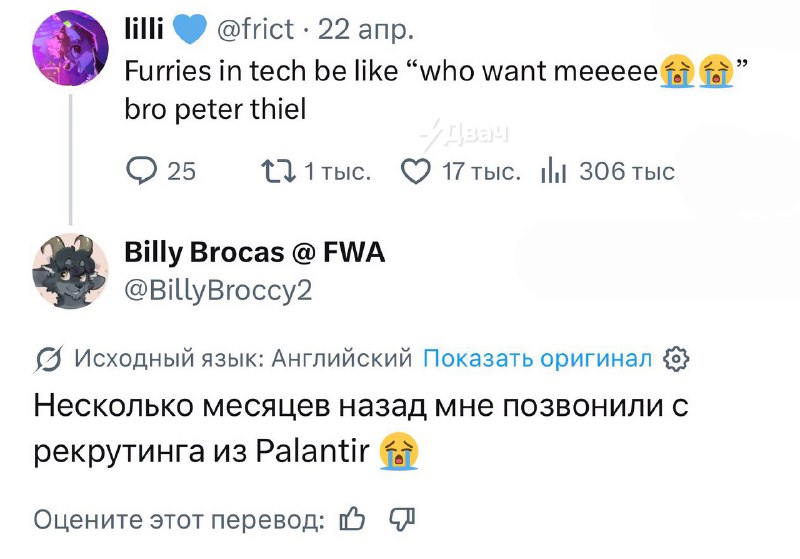 В Palantir, которая пилит софт для американских военных и спецслужб, работают фурри: компания активн