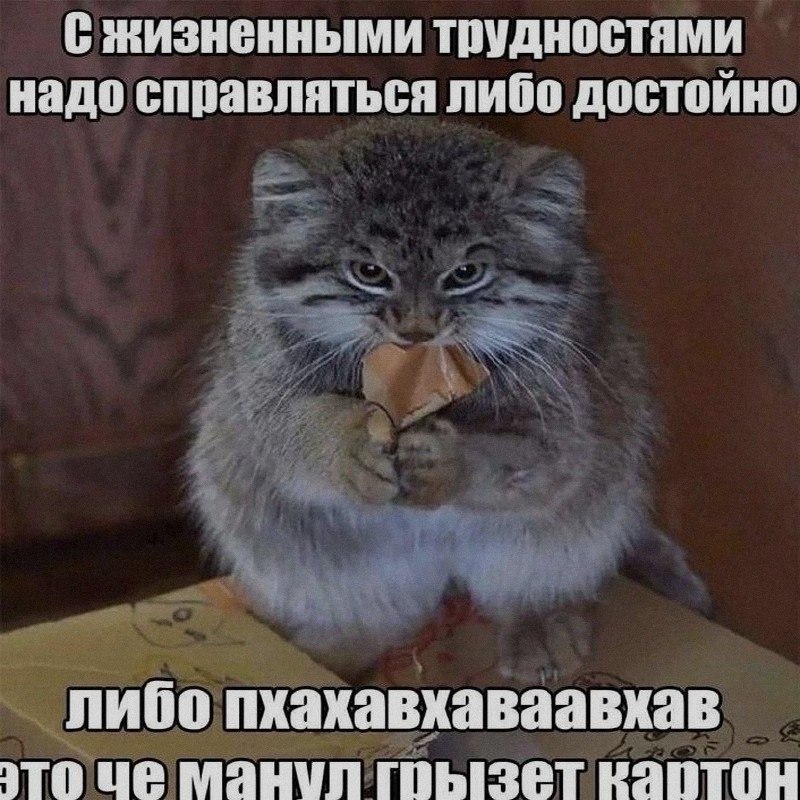 Ночная подборочка
Спать, режим