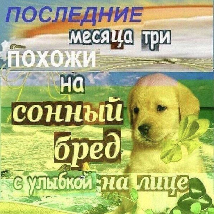 Утренняя подборочка