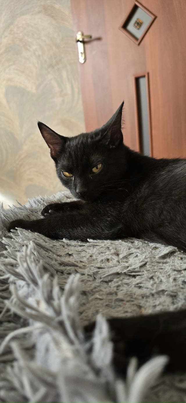 Его величество #Мармелад