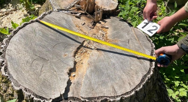 👉В Смоленской области задержали «черного лесоруба»
?...