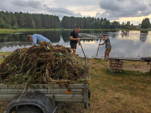 Кулойцы продолжают спасать озеро 🌿
Долгие годы главн...