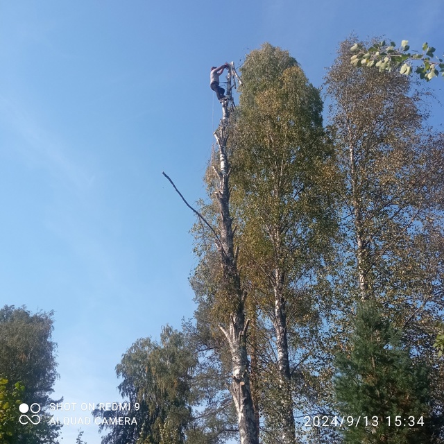 ❗Бригада опытных мастеров выполняет строительные раб...