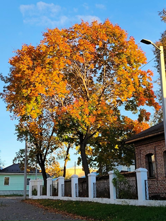 🍂🍁 Ковровская осень - красота! Анон