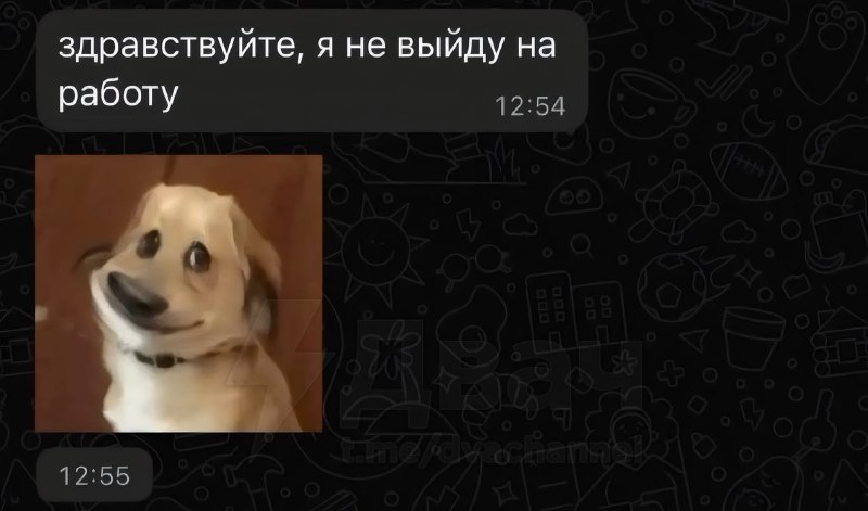 Предприниматель наглядно показал, почему не стоит брать зумеров на работу
