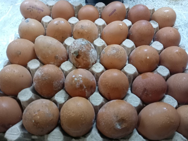Сегодня в доброцене купила яйцо в вакуумной упаковке......