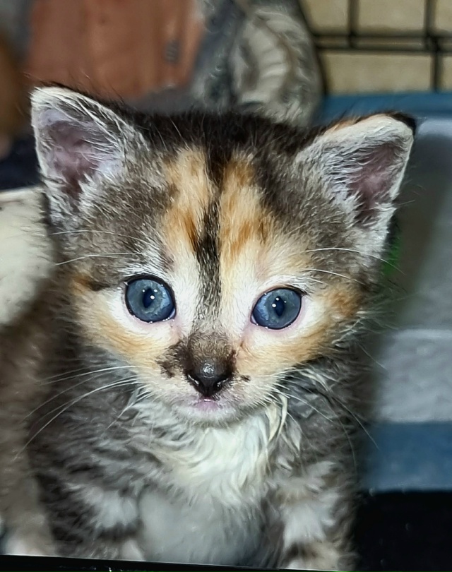 Добрый вечер!