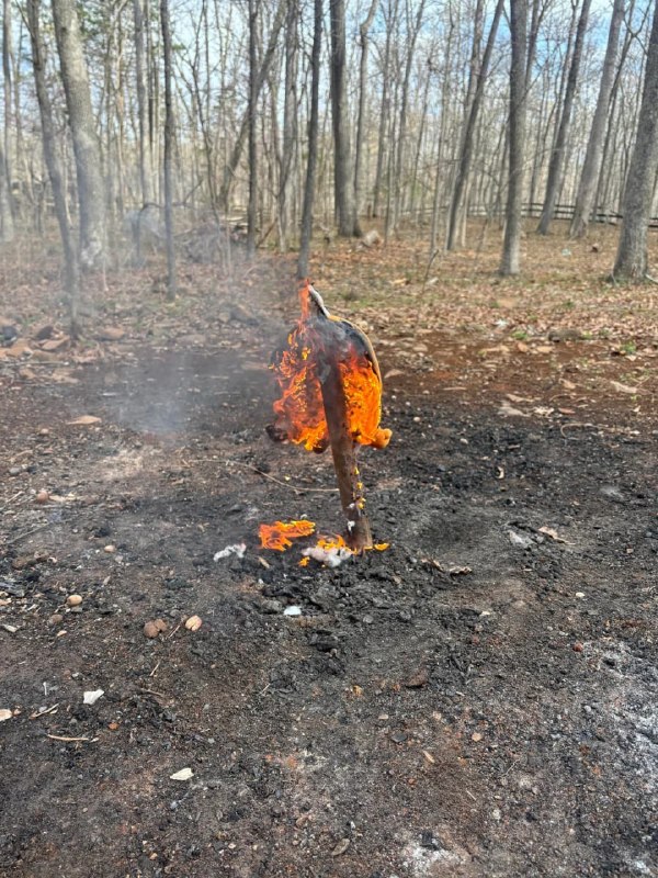 Фанат, разгневанный концовкой «Человека-бензопилы», сжег свою плюшевую Почиту😣