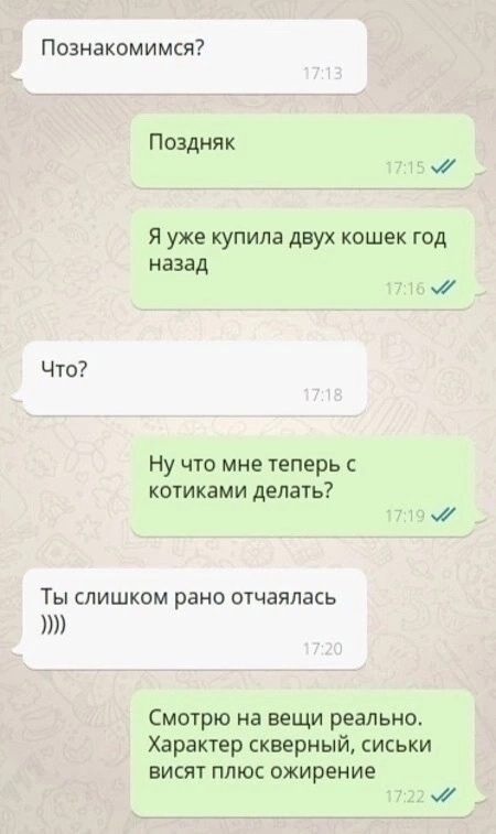 У них определенно все получится
