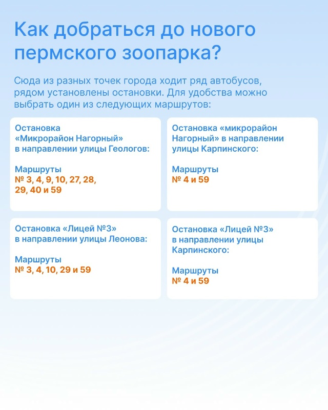 🐻 Как добраться до нового зоопарка Перми. Подробности...