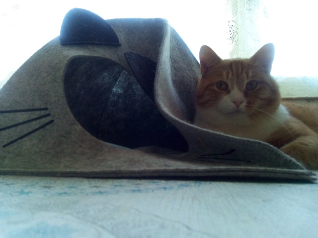 1) Кто ж так строит дома ?! Ромка 9 лет
2) Какой мне стих ва?...