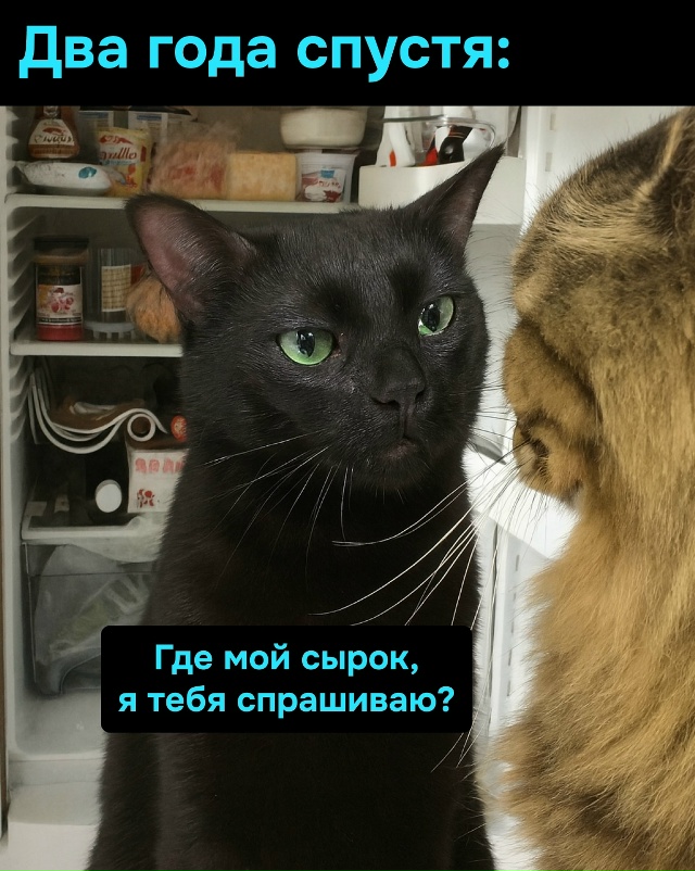 Любовь вечна, но сырки в холодильнике заканчиваются бы...