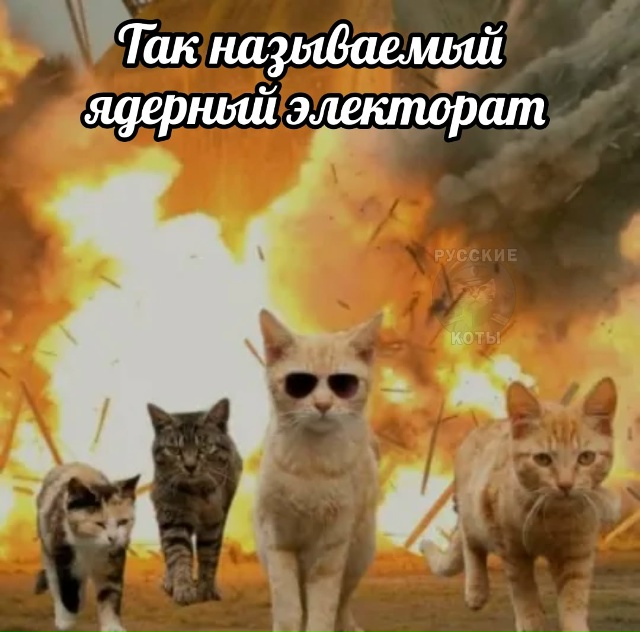 Какова риторика - таков и электорат