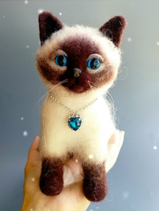 Кошечка Роза.