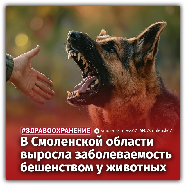 👉Об этом рассказали в Смоленском ГУ ветеринарии
🦠В...