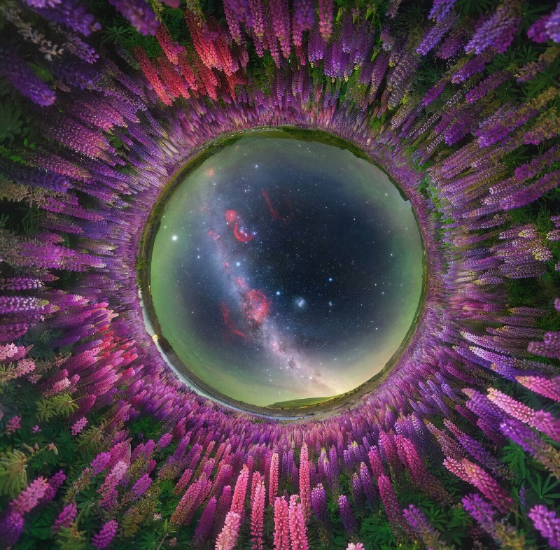 Зацените лучшие фотки Млечного Пути — это победители конкурса Milky Way Photographer of the Year 202