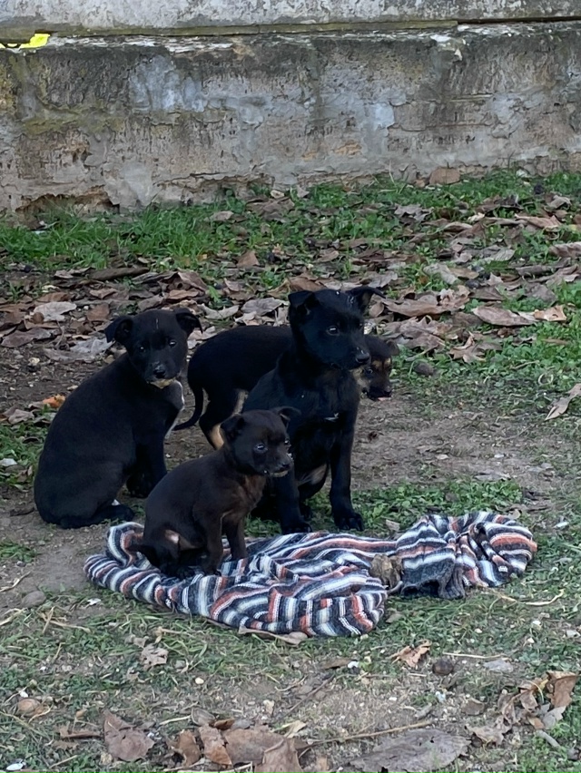 Огромная просьба распространить информацию и может сп...
