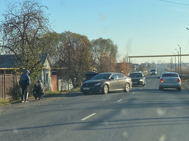 Туманова дтп